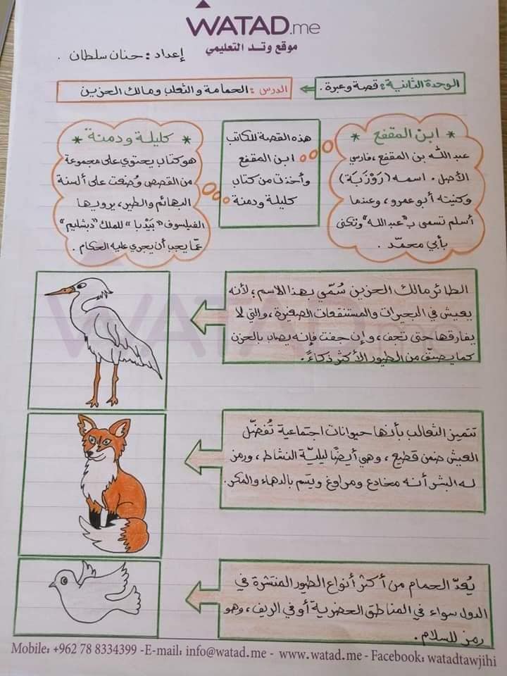 MzE1MjQ2MQ97971 بالصور شرح درس قصة و عبرة مادة اللغة العربية للصف التاسع الفصل الاول 2021